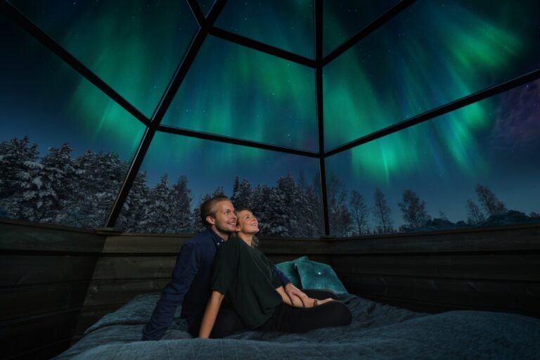 Rovaniemi & Northern light Tour