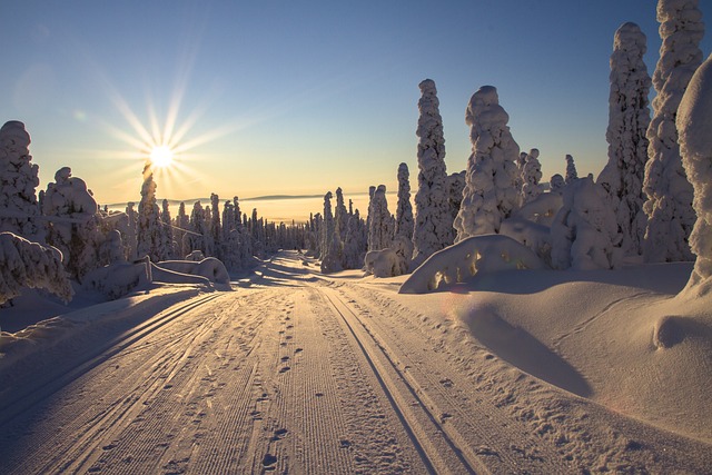 Small Group Tour Finnish Lapland