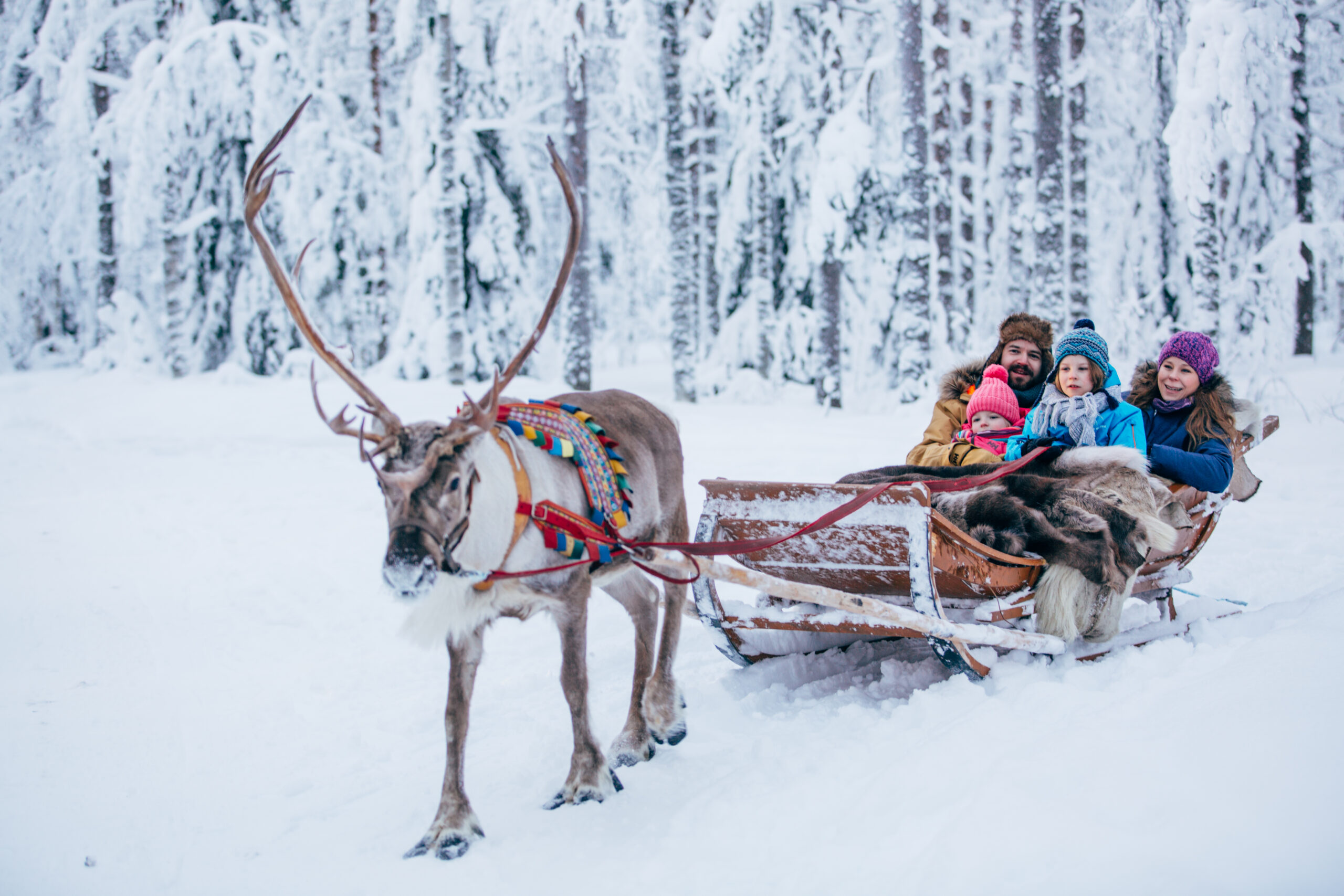 Winter highlights in Rovaniemi, Lapland, Finland (1)